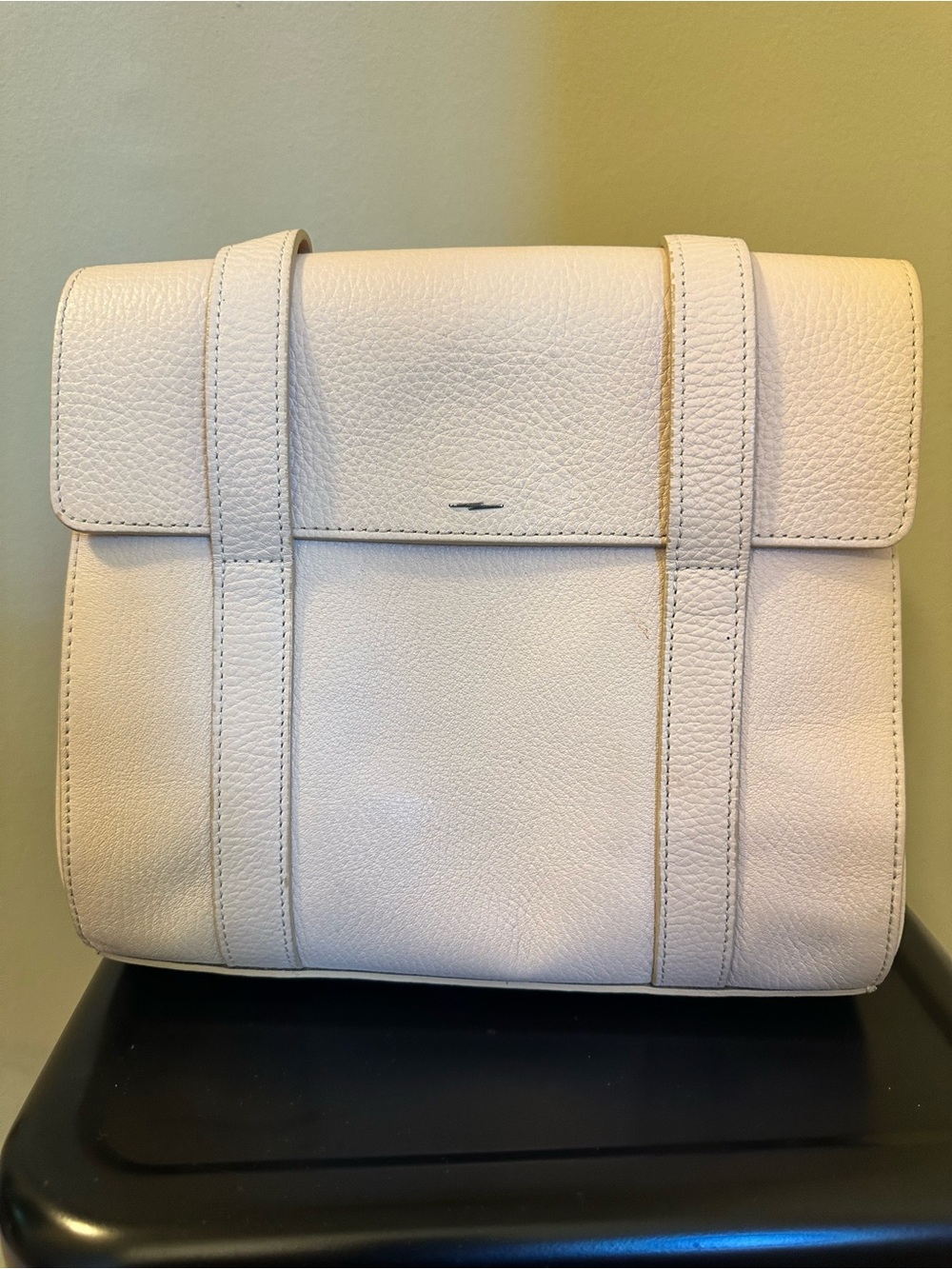 Shinola Detroit Leather Purse/Tote